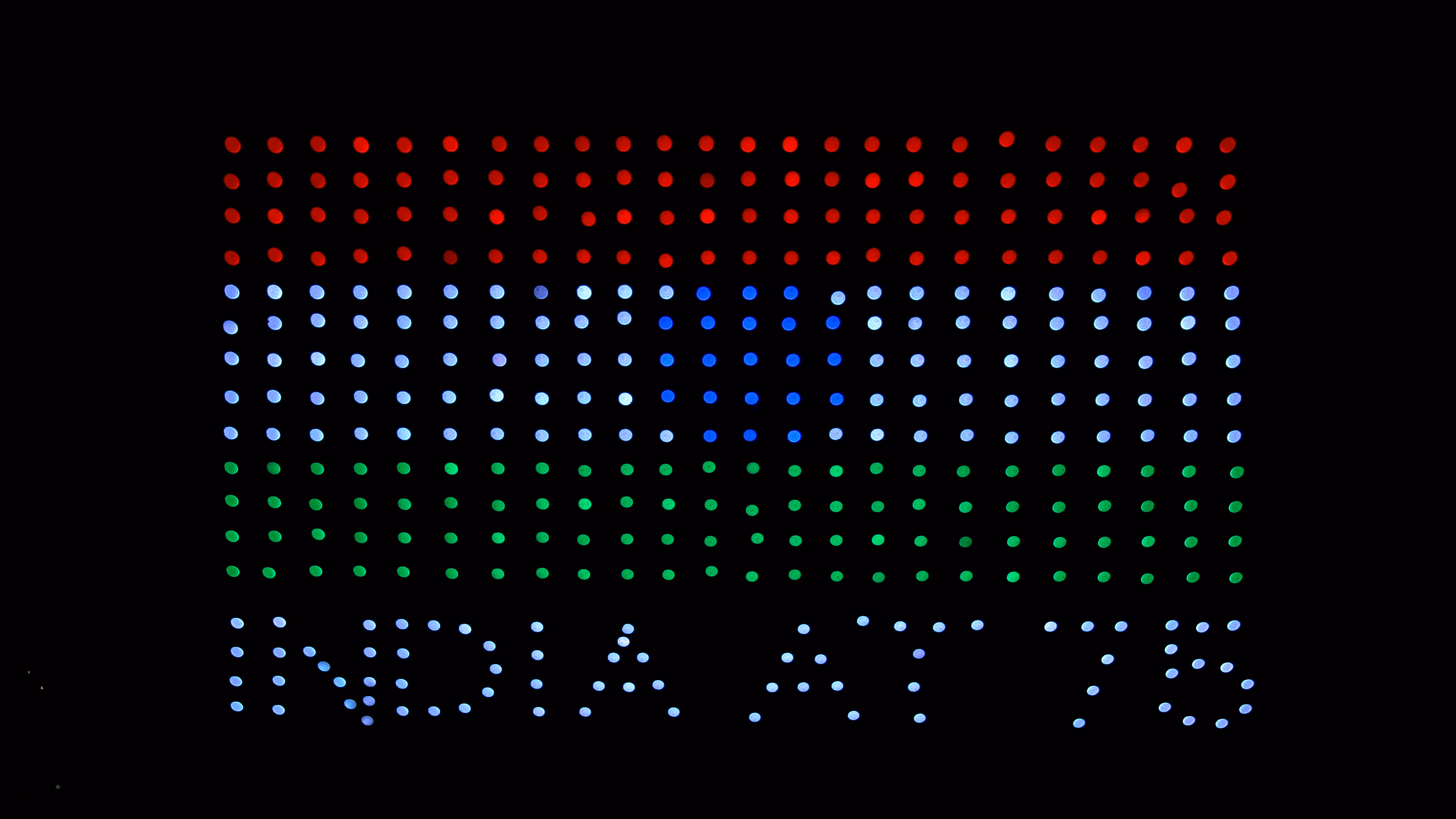 Botlab Image